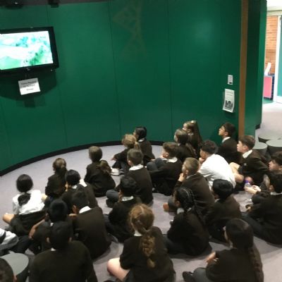 Our trip to the Verulamium